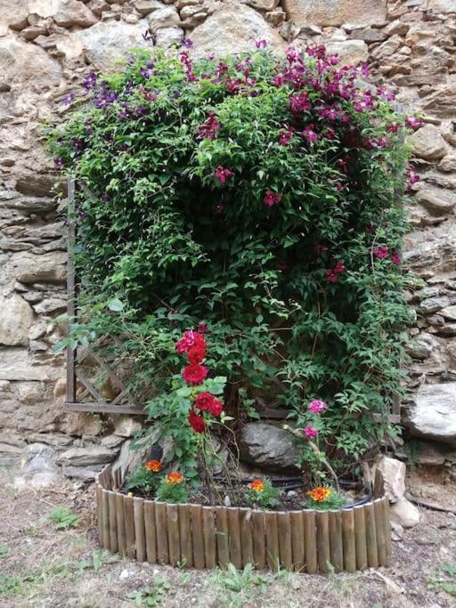 La Borda De Sesue Βίλα Εξωτερικό φωτογραφία